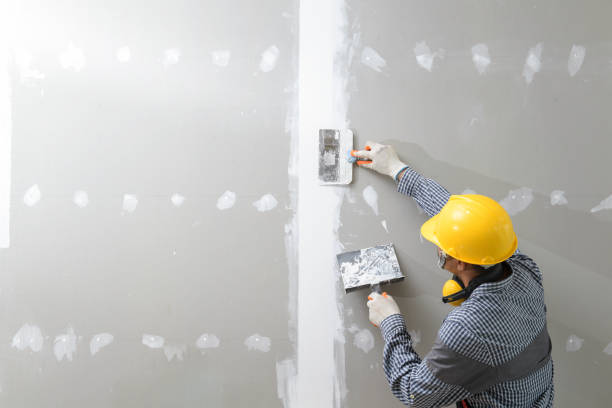 Mold Documentation for Insurance Claims in Lake Winnebago, MO