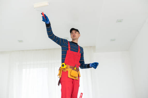 Best Mold Odor Removal Services  in Lake Winnebago, MO