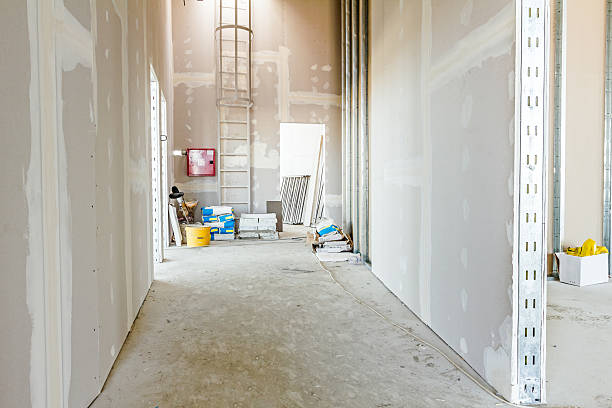 Best Comprehensive Air Testing for Mold Contaminants  in Lake Winnebago, MO
